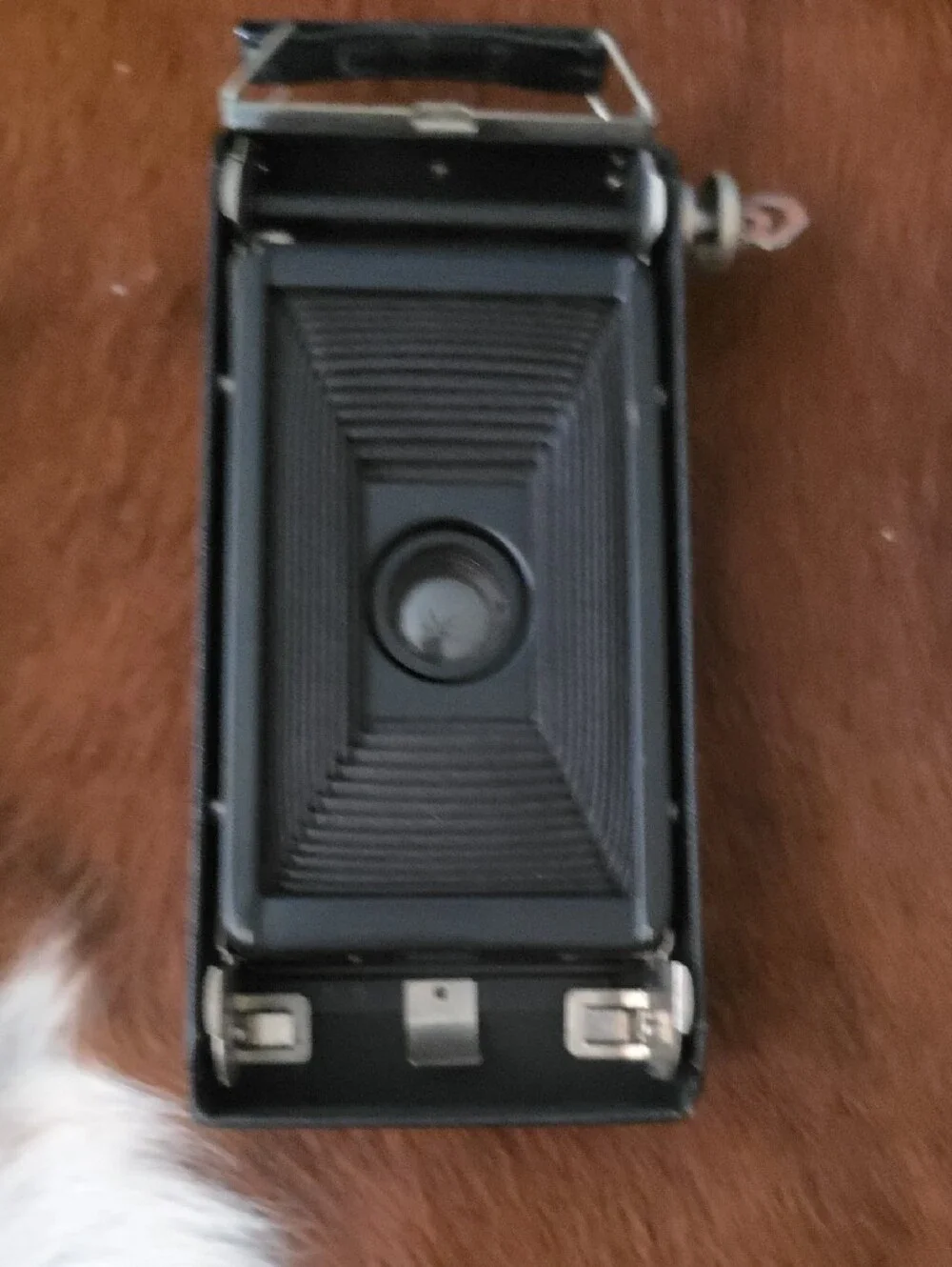 Kodak Jiffy Six-16 Box Camera in Black with Silver Accents